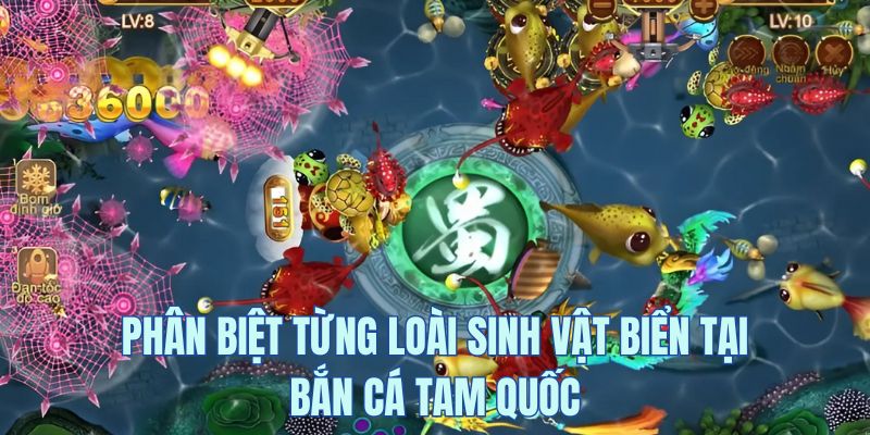 Đa dạng sinh vật biển tại game bắn cá Tam Quốc 