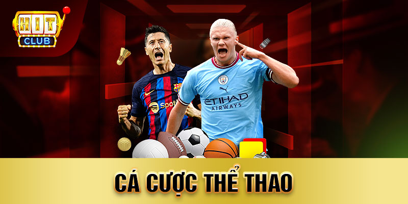 cá cược thể thao