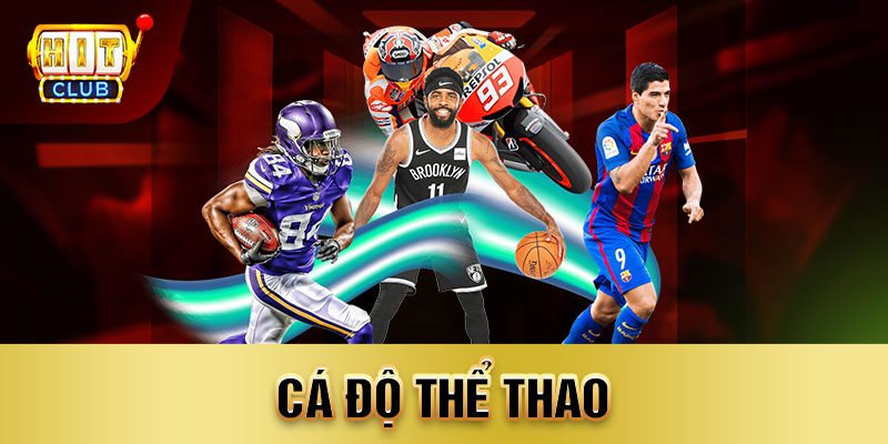 cá độ thể thao