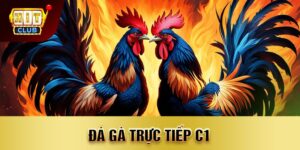 đá gà trực tiếp c1