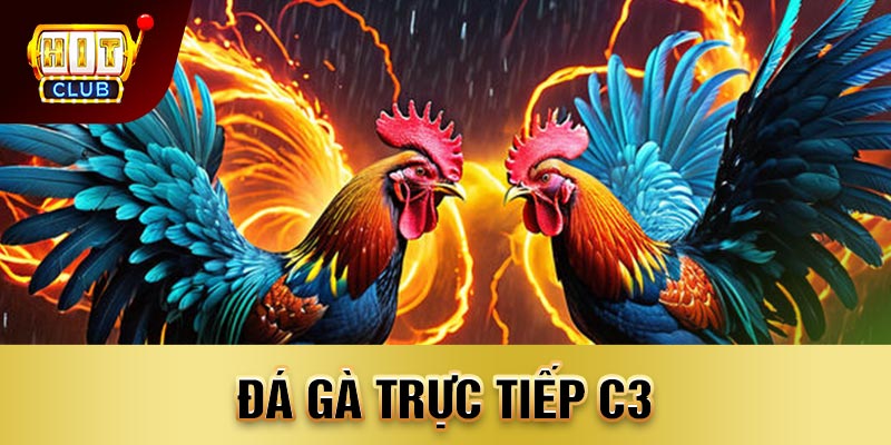 đá gà trực tiếp c3