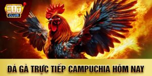 đá gà trực tiếp Campuchia