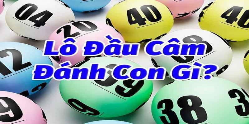 Bật mí những con lô đầu câm đánh con gì thắng lớn cho anh em