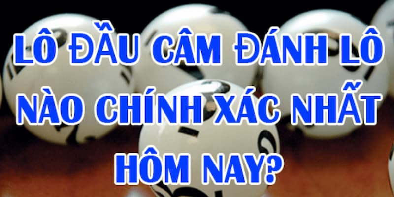 Tập hợp các con lô đầu câm thường ra trong giải đặc biệt cho người mới