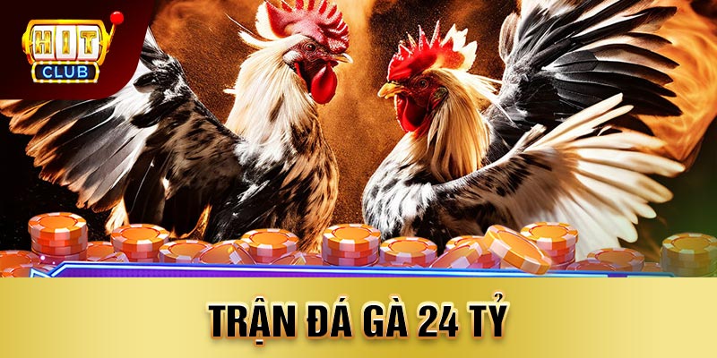 trận đá gà 24 tỷ